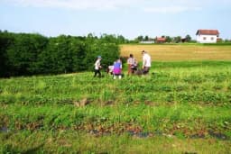 Sami sebi beru jeftinije plodove