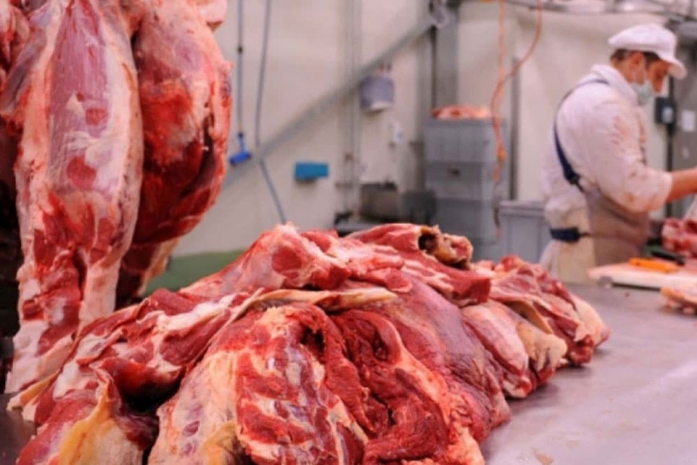 Zabrana uvoza svježe govedine u BiH