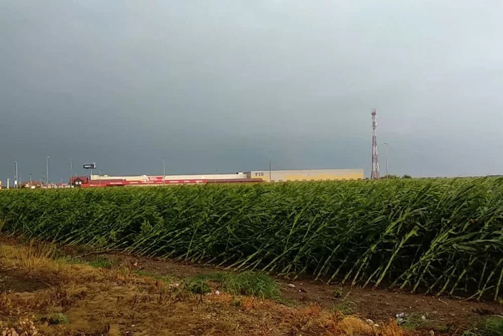 OGROMNE ŠTETE NA USJEVIMA: Nevrijeme poharalo Semberiju, poljoprivrednici ZBRAJAJU GUBITKE