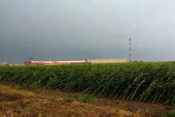 OGROMNE ŠTETE NA USJEVIMA: Nevrijeme poharalo Semberiju, poljoprivrednici ZBRAJAJU GUBITKE