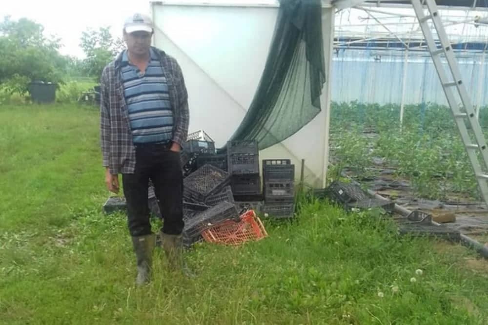 Poslije nevremena, voće i povrće uništavaju bolesti