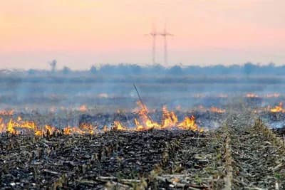 Mjere zaštite od požara tokom žetve strnih žita