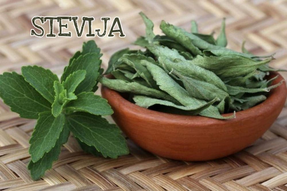 Uzgoj stevije