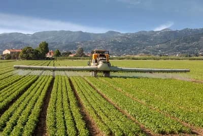 EU zabranila još jedan pesticid jer je opasan za ljude i pčele