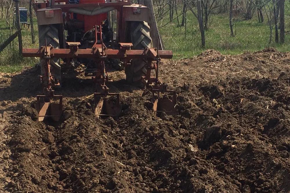 NAJČEŠĆE GREŠKE NA ORANICAMA koje dovode do manjih prinosa