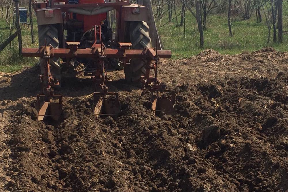 NAJČEŠĆE GREŠKE NA ORANICAMA koje dovode do manjih prinosa