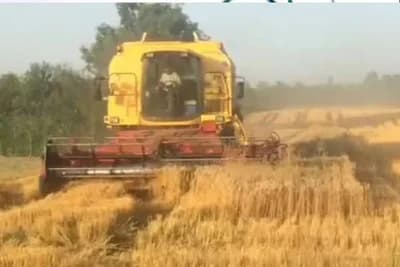 Pšenica dala i do 7 t/ha, a i ječam je donio dobar i kvalitetan prinos