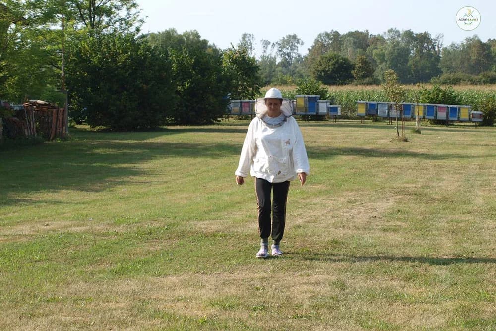 PČELARI MOGU NA PČELINJAKE UZ MJERE OPREZA