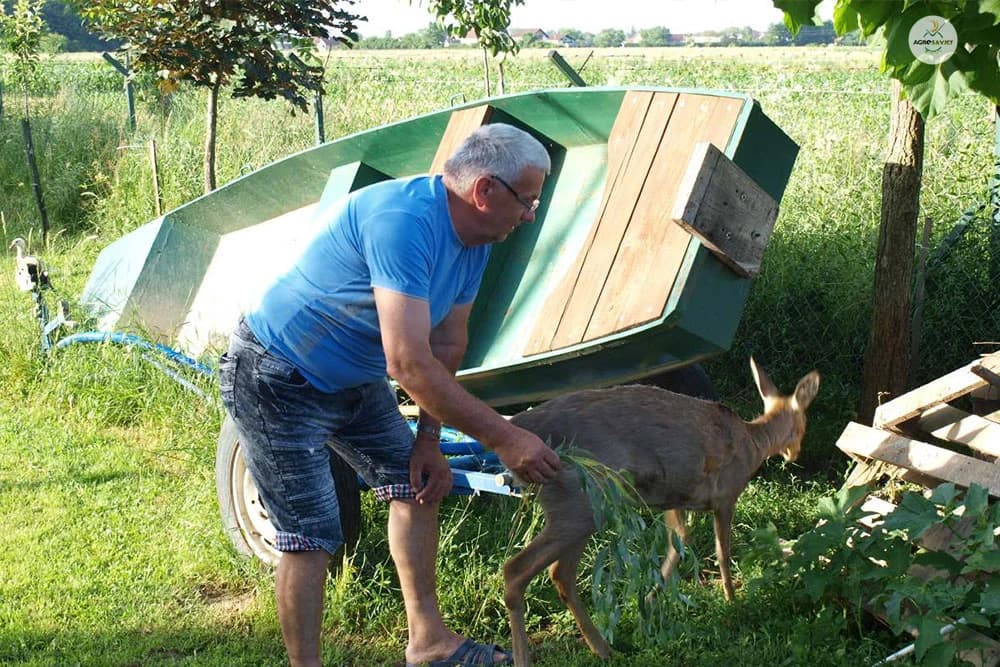 Ferid Čatak ranč u Dubravama pretvorio u farmu mnoštva plemenitih životinja