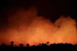 Poljoprivreda kao uzročnik širenja požara u Amazoniji