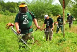 Uništavanje ambrozije obaveza vlasnika i korisnika zemljišta - kazne i do 5000 KM