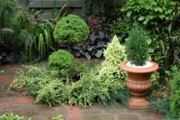 Radovi u bašti tokom avgusta