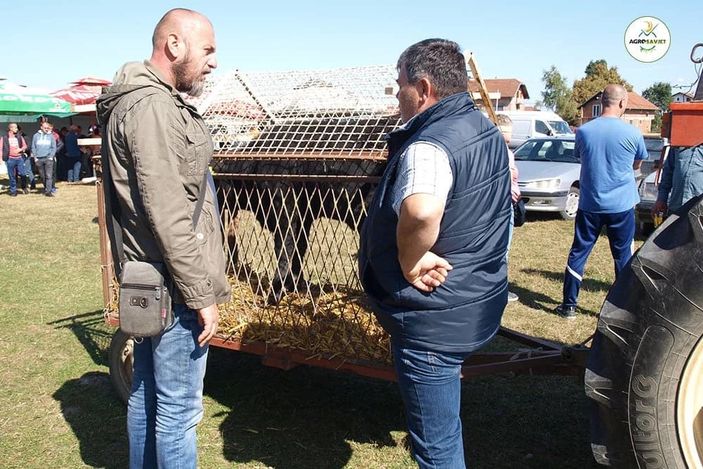 Sistem uzgoja 'krava-tele' sve prihvatljiviji i u Lijevče polju i Potkozarju