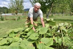 Kako živi jedan bivši član Predsjedništva BiH: Beriz Belkić sada se bavi poljoprivredom