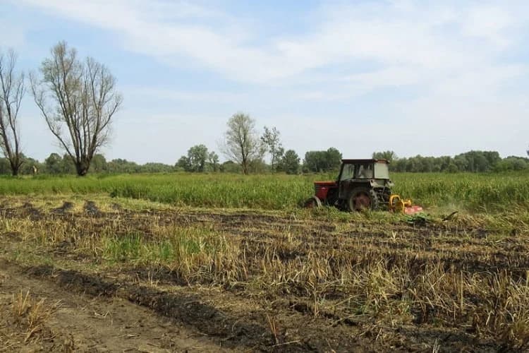 NAJBOLJI REZULTATI U POLJOPRIVREDI U Prijedoru za 4 godine završeno 20 odsto projekata
