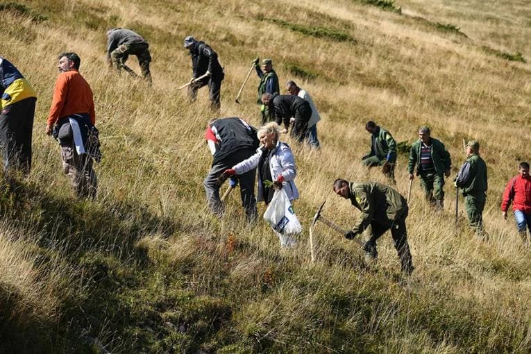 VELIKA AKCIJA POŠUMLJAVANJA: Posađeno 10.000 sadnica smrče i bijelog bora na Jahorini
