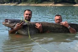 Na jezeru Sniježnica kod Teočaka ribolovac upecao kapitalca dugog 206 cm