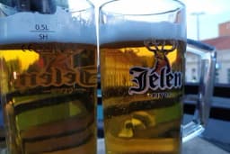 Šta sve ima u pivu: Od 2022. na ambalaži će biti istaknuti svi sastojci