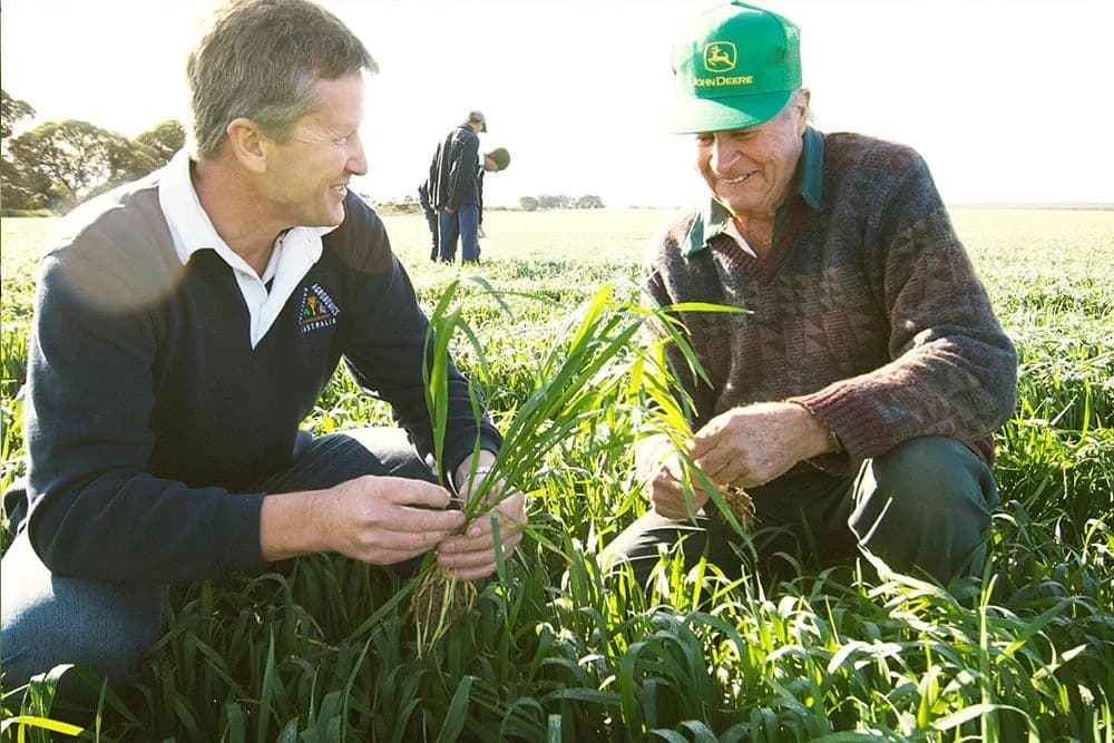 Ko se po zakonu može baviti poljoprivrednim savjetodavstvom u FBiH?