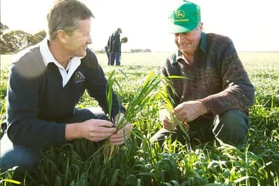 Ko se po zakonu može baviti poljoprivrednim savjetodavstvom u FBiH?