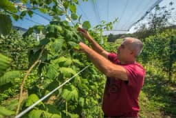 UNDP:  Javni poziv potencijalnim korisnicima bespovratnih sredstava