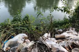 BiH: Ekološka katastrofa, prijeti zaraza stanovništva