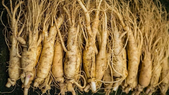 Žen-šen: Biljka koja pomaže kod mnogih bolesti