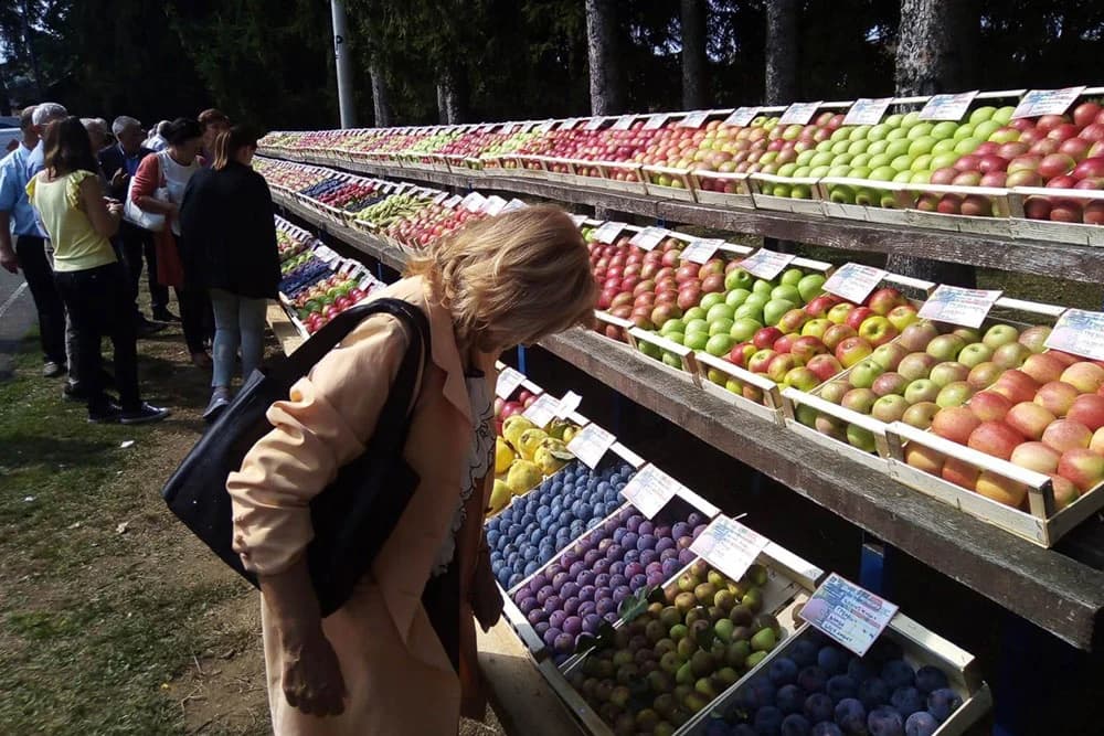 Gradiška velikim slovima upisana na voćarskoj karti Evrope