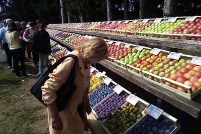 Gradiška velikim slovima upisana na voćarskoj karti Evrope