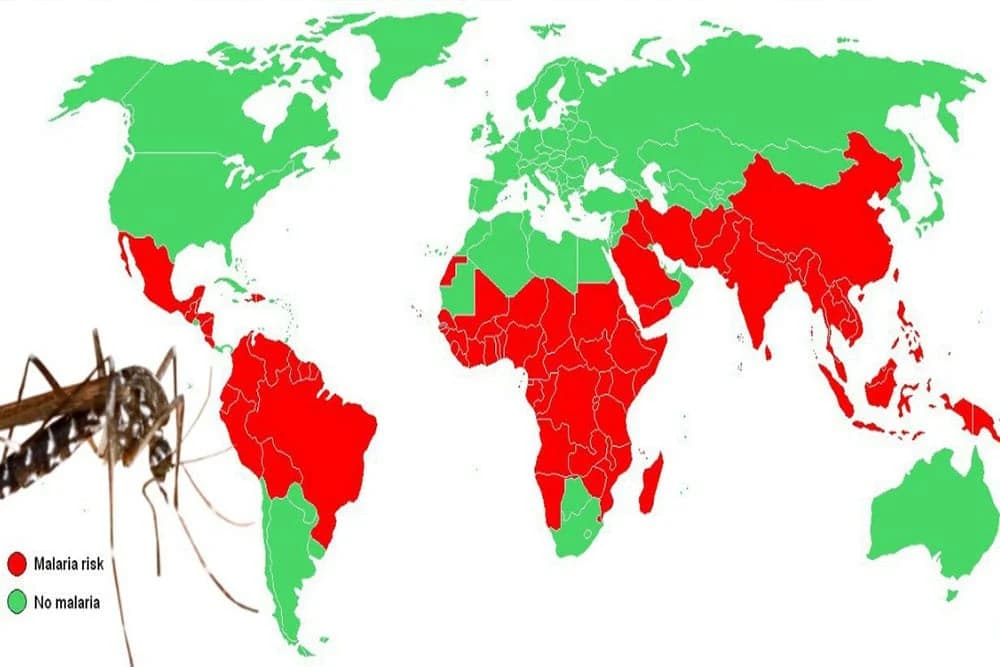 Novo oružje u borbi protiv malarije - sterilisani komarci