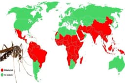 Novo oružje u borbi protiv malarije - sterilisani komarci