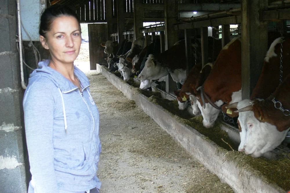 Milena i Goran Erceg godišnje isporuče mljekari 130 hiljada litara mlijeka