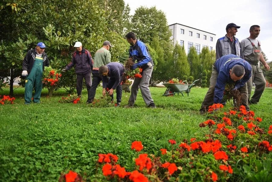 JESENJA SADNJA Centar grada krasiće 10.000 cvjetova