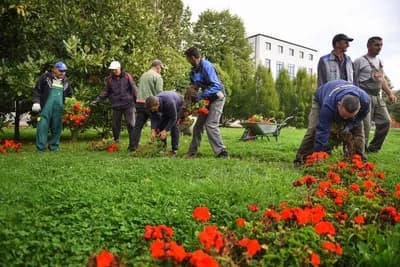 JESENJA SADNJA Centar grada krasiće 10.000 cvjetova