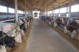 Počinje godišnje istraživanje na farmama u BiH