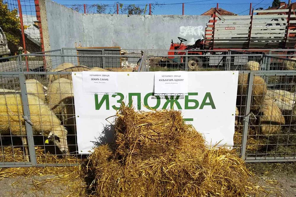 Pogledajte kako je prošao sajam poljoprivrede u Vlasenici /FOTO/