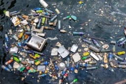 Koje je najzagađenije more u Evropi?