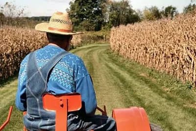 BiH mora koristiti mehanizme zaštite domaće proizvodnje