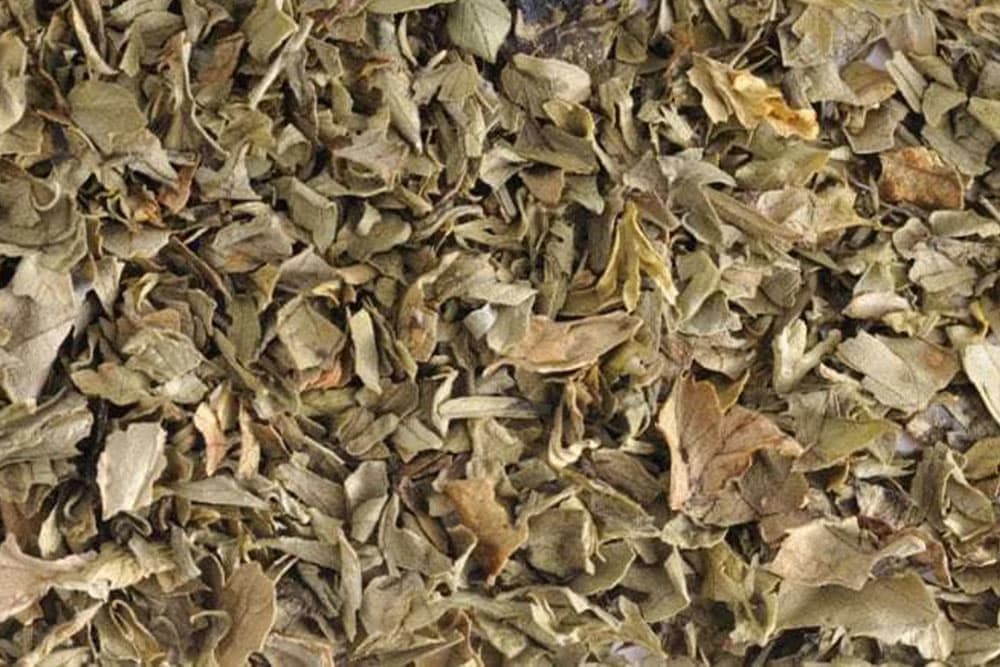 Prirodno sušenje ljekovitog bilja