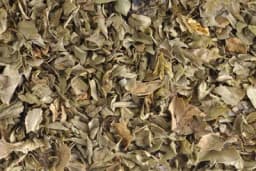 Prirodno sušenje ljekovitog bilja