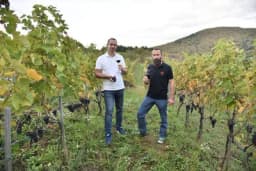 "Imamo bogomdanu zemlju i klimu za uzgoj vinove loze"