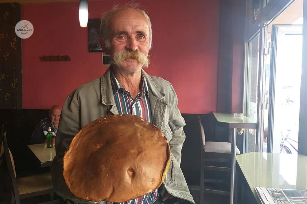 Vlado Kukavica  na planini Prosari ubrao vrganj od jednog kilograma