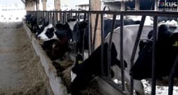 Najstarije poljoprivredno dobro u Sarajevu nastalo je 1893. godine