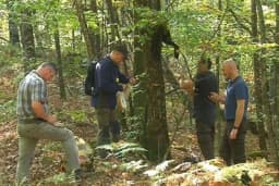 Mađari ispituju hrast u Srpskoj, žele obnoviti svoje šume