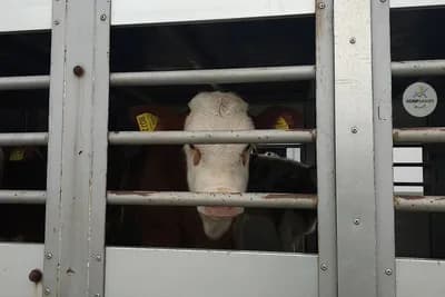 Šaroviću dat rok od sedam dana ili farmeri izlaze na ulicu