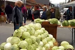U tuči na Kupusijadi povrijeđena petorica mladića