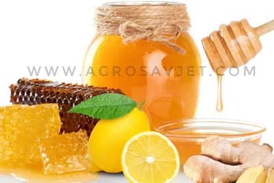 Prirodna bomba za prehladu