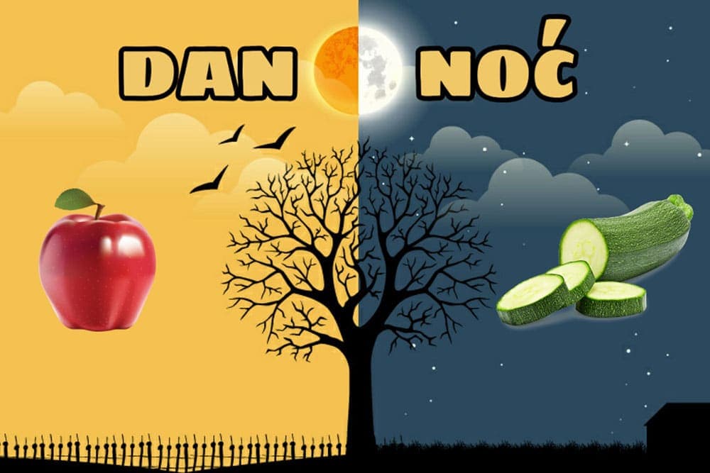 Evo koju hranu treba jesti u koje doba dana