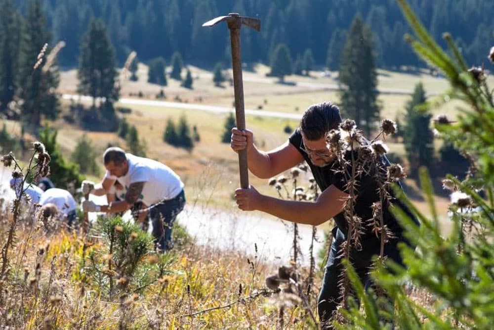 Toyota BiH nastavlja sa akcijom pošumljavanja u sklopu projekta 1 hibrid - 1 stablo