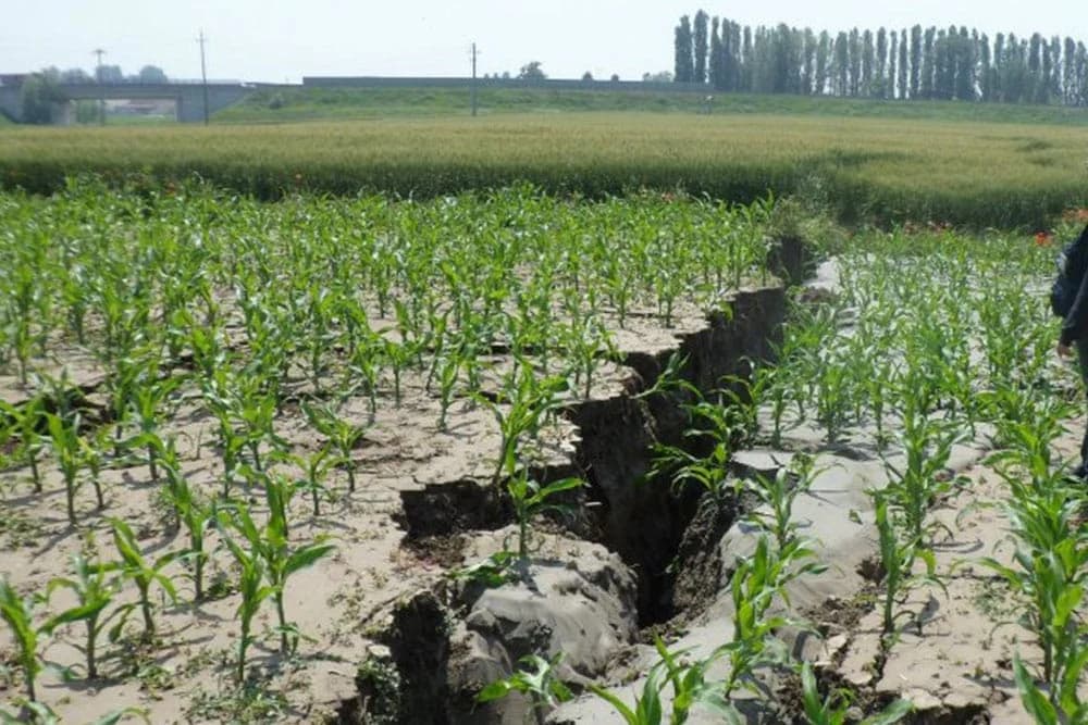 Kako zemljotresi utiču na sigurnost hrane koja se temelji na poljoprivredi